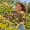 Gardena Gartenschere PremiumCut Flex Anteprima dell’immagine prodotto 8