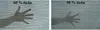 SCHATTIERNETZ ANTHRAZIT 2M x 25 M, 90 % SCHATTEN Anteprima dell’immagine prodotto 6