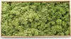 Islandmoos 500g in 30 Farben – Konserviertes Rentiermoos Produktbild-Vorschau 2