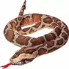 Serpente Di Peluche Lungo Di Pitone Burmese 180 Cm Mascotte Anteprima dell’immagine prodotto 2
