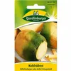 Quedlinburger Saatgut - Steckrübe Wilhelmsburger - Samen - Produktbild-Vorschau 3