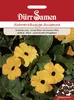 Dürr-Samen - Schwarzäugige Susanne orange mit schwarzer Produktbild-Vorschau 1