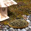 A bird is eating birdseed from a wooden bowl next to a birdhouse in a garden. Produktbild-Vorschau
