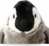 Close-up of a stuffed penguin toy. Produktbild-Vorschau