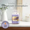 'YANKEE CANDLE Lemon Lavender', Large Jar (623g) Produktbild-Vorschau 8