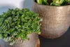 Ter Steege Pflanztopf – modernes Design – goldfarben – 20 x Produktbild-Vorschau 4