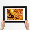 Bild 30x20 MDF-Rahmen, Wandkunst Krone der Bäume im Herbst Produktbild-Vorschau 3