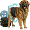 HUND IST KÖNIG Hundewindeln für Rüden [3 Stk], XXL (Taille Produktbild-Vorschau 1