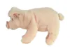 Maiale di peluche 23 cm - ECO-FRIENDLY Anteprima dell’immagine prodotto 5
