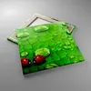 Bild auf Leinwand - Leinwandbild - Marienkäfer Gras Blatt Produktbild-Vorschau 2
