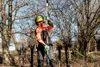A person is using a pole saw attachment in a wooded area. Náhled obrázku produktu