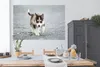 MuchoWow® Poster Husky-Welpe läuft über die Straße 180x120 Produktbild-Vorschau 3