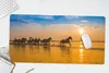 MuchoWow® Schreibtischunterlage In den Sonnenuntergang Produktbild-Vorschau 5