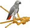 Java Multibranch L - Trespolo naturale per pappagalli Anteprima dell’immagine prodotto 1