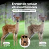 Siltcon Wildkamera 4K 60 MP mit Nachtsicht, Produktbild-Vorschau 4