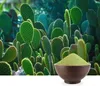 Nopal en poudre pour smoothies diététiques (Opuntia Voir les images du produit 3