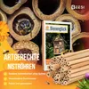 BEESI 100x Bambusröhrchen für Insektenhotel I 14 cm Länge I Produktbild-Vorschau 4