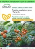 SAFLAX Garden to go - Tropický paradajkový strom / Náhľad obrázku produktu 1