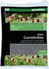 Nano Garnelenkies Arkansas grau 0,7-1,2 mm (2 kg) Produktbild-Vorschau 4