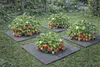 Mata filcowa do ściółkowania 50 x 50 cm, 4 mm, szara – Podgląd zdjęcia produktu 7