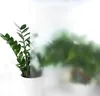 A potted plant is placed next to a frosted glass surface, suggesting privacy or decorative use. Produktbild-Vorschau