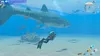 Nintendo Games Switch Endless Ocean Luminous Switch Produktbild-Vorschau 9