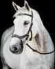 Uzdečka Horseware Micklem II Multi, velikost:Thoroughbred, Náhled obrázku produktu 1