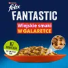 Felix Fantastische Ländergeschmäcker in Gelee - Nassfutter Produktbild-Vorschau 7