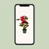 Anthurium Red - Ø17cm - ↕55cm - Ø12cm - ↕40cm Produktbild-Vorschau 4
