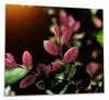 Wallario Herdabdeckplatte aus Glas, Größe 60 x 52 cm Produktbild-Vorschau 1