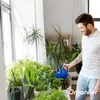 Leaf Insects Blattinsekten Kapseln – 36 Stück- Organifer Produktbild-Vorschau 4