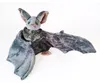 Fledermaus Kuscheltier 30 cm – Niedliches Halloween Produktbild-Vorschau 3