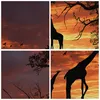 Bild auf Leinwand - Leinwandbild - Giraffe Afrika Sonne Produktbild-Vorschau 8