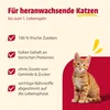 animonda Carny Katzen Nassfutter Kitten Geflügel + Rind (12 Produktbild-Vorschau 2