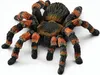 Schleich® Wild Life 14829 Tarantola Anteprima dell’immagine prodotto 1