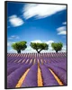 Wallario Wandbild Abstraktes lila Blumenfeld mit Lavendel, Produktbild-Vorschau 2