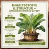 Green Home Bananenerde 72L - Erde für Bananen & Produktbild-Vorschau 7