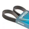 DAYCO Keilrippenriemen 1175,0mm für FIAT PANDA (169) Produktbild-Vorschau 6