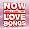 Now Love Songs / Various: Now That's What I Coll Love Songs Náhled obrázku produktu 1