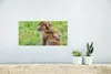 MuchoWow® Poster Affe - Baby - Gras 40x20 cm - Poster für Produktbild-Vorschau 5