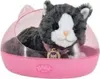 Zapf Creation BABY born My cat Cookie z pudełkiem Podgląd zdjęcia produktu 9