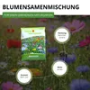Bienenweide Blumenmischung - 100 g Samen für Bienenwiese - Produktbild-Vorschau 4