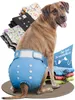 HUND IST KÖNIG Windeln für Hündinnen [3 Stk], XL (Taille Produktbild-Vorschau 1