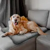 A golden retriever dog is lying on a gray couch with a gray dog mat underneath it. Voir les images du produit