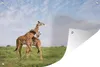 MuchoWow® Produktbild-Vorschau 1