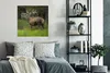 MuchoWow® Poster Elch - Wald - Porträt 75x75 cm - Wand Produktbild-Vorschau 4