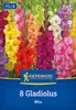 Kiepenkerl Großblumige Gladiole Holländische Mischung Produktbild-Vorschau 1