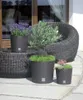 Runde Pflanzschale Rato DRTUS300L mit Inneneinsatz | Umbra Produktbild-Vorschau 2