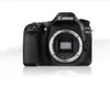 Canon EOS 80D + EF-S 18-55mm f/3.5-5.6 IS STM, 24,2 MP, Produktbild-Vorschau 1