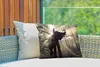 MuchoWow® Outdoor Kissen - Elefant mit Person in hellem Produktbild-Vorschau 3